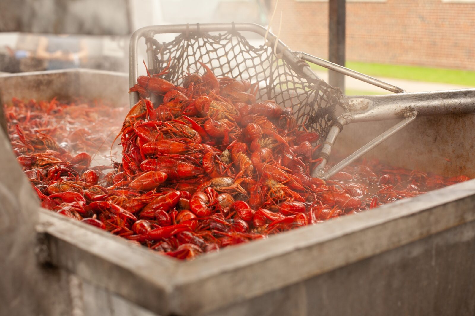 Crawfest at Tulane Lets Geaux Louisiana