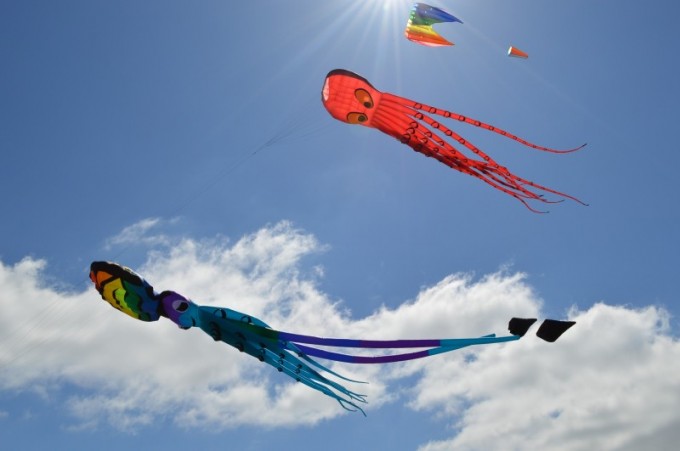 Kite Fest West Baton Rouge Louisiana Port Allen