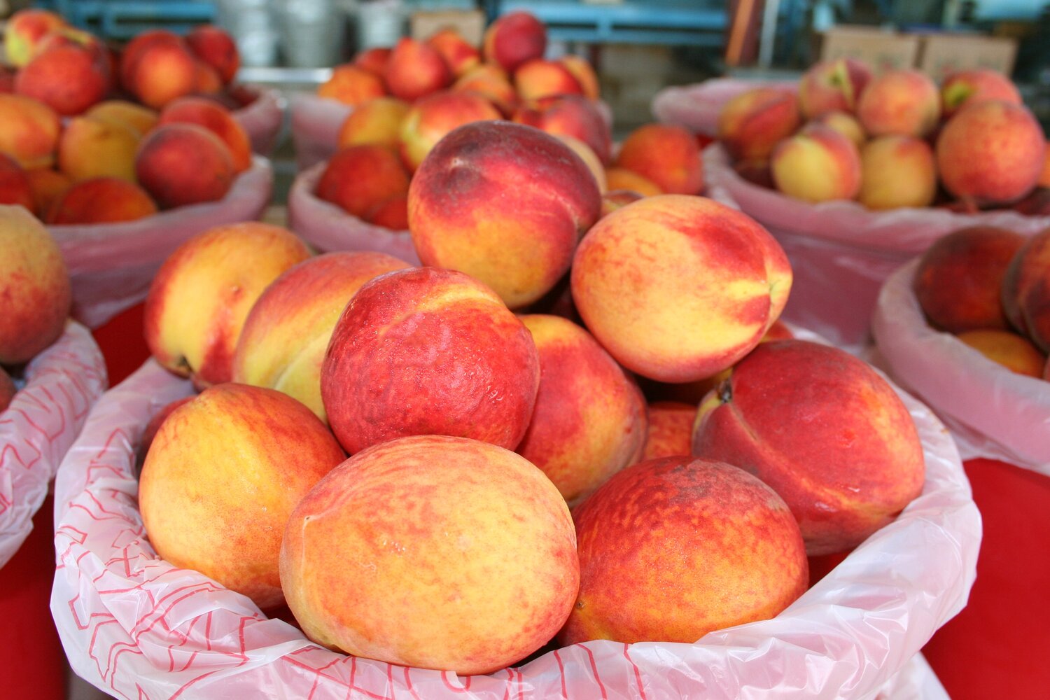 Ruston Peach Festival